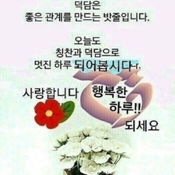 피드에 업로드 된 이미지