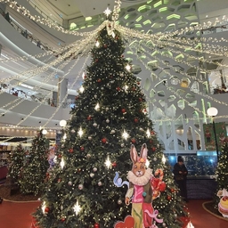 피드에 업로드 된 이미지