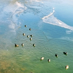 피드에 업로드 된 이미지