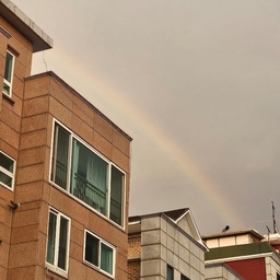 피드에 업로드 된 이미지