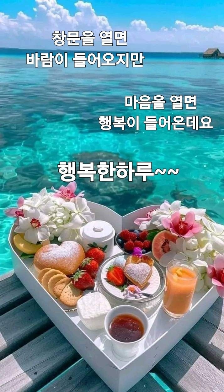 피드에 업로드 된 이미지