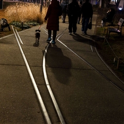 피드에 업로드 된 이미지