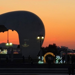 피드에 업로드 된 이미지