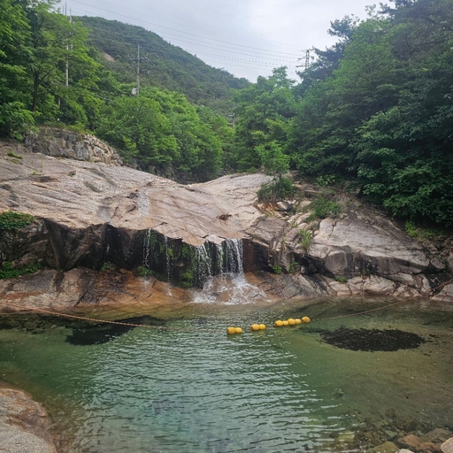 피드 이미지