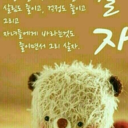 피드에 업로드 된 이미지