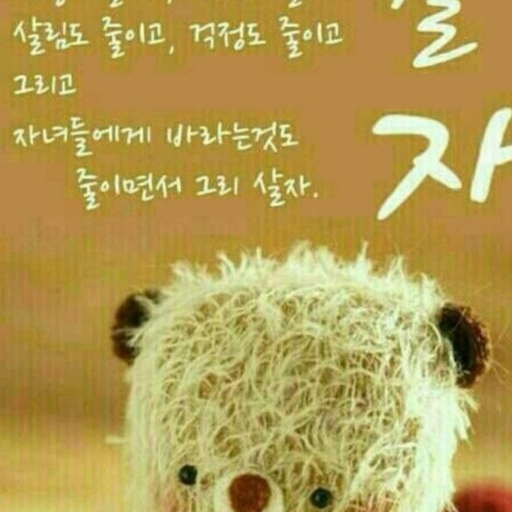 피드 이미지