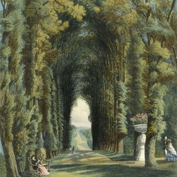 피드에 업로드 된 이미지