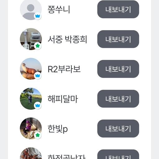 피드 이미지