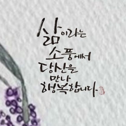 피드에 업로드 된 이미지