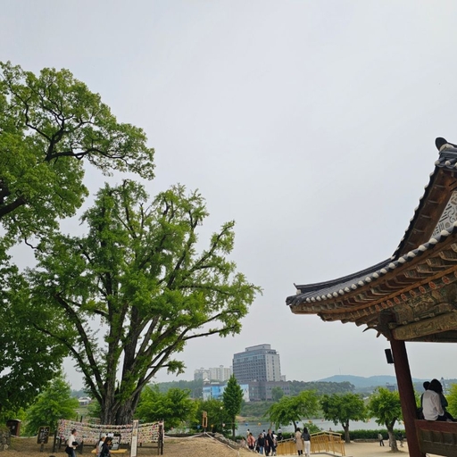 피드 이미지