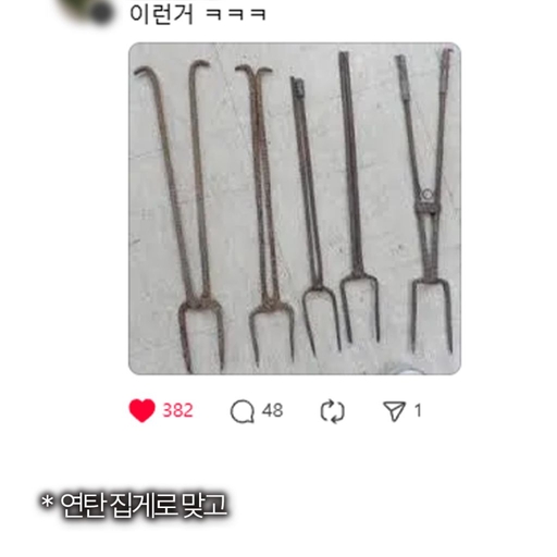 피드 이미지