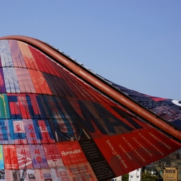 피드에 업로드 된 이미지