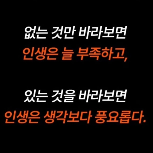 피드 이미지