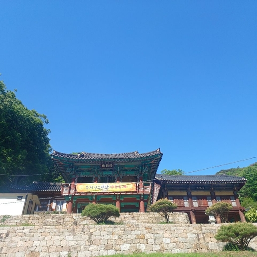 피드 이미지