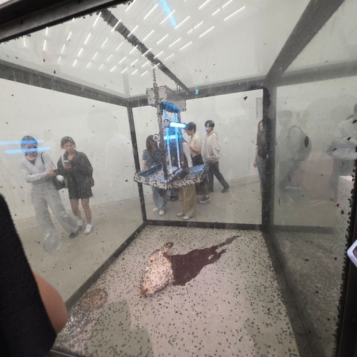 피드 이미지