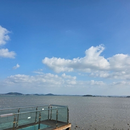 피드에 업로드 된 이미지