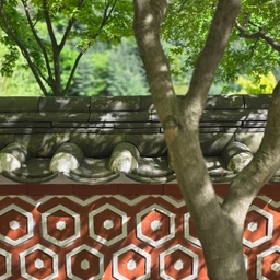 피드에 업로드 된 이미지