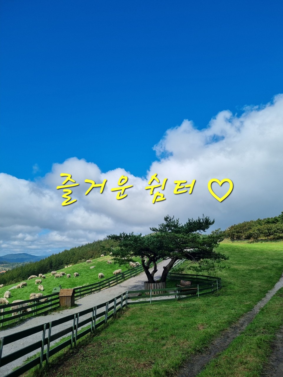 참가 유저 프로필