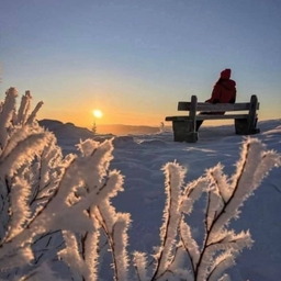 피드에 업로드 된 이미지