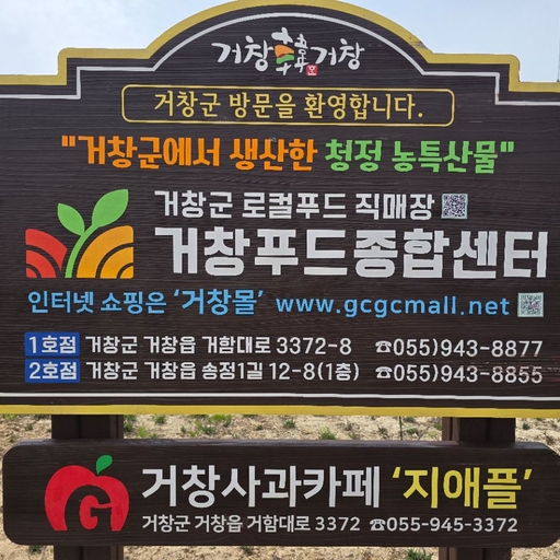 피드 이미지