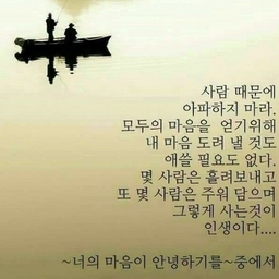 피드에 업로드 된 이미지
