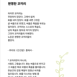 피드에 업로드 된 이미지