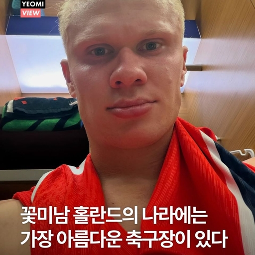 피드 이미지