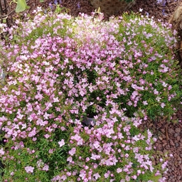 ํผ๋์ ์
๋ก๋ ๋ ์ด๋ฏธ์ง