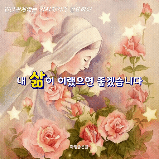 피드 이미지