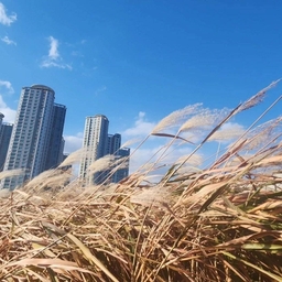 ํผ๋์ ์
๋ก๋ ๋ ์ด๋ฏธ์ง