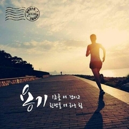 피드에 업로드 된 이미지
