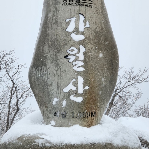 피드 이미지