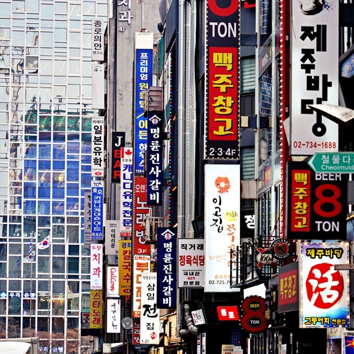 피드 이미지