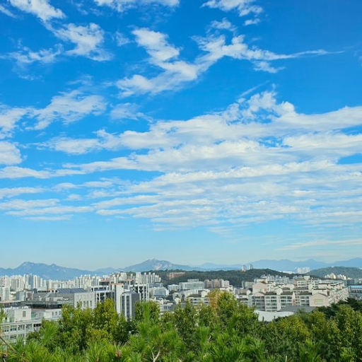 피드 이미지