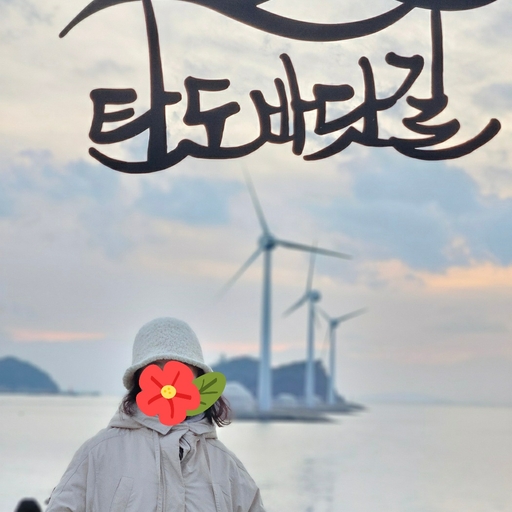 피드 이미지