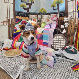 피드에 업로드 된 이미지