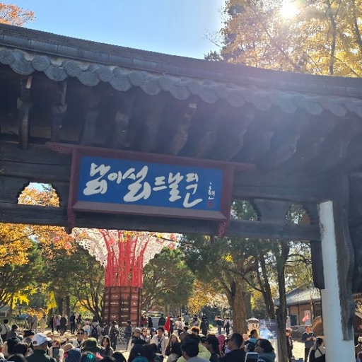 피드 이미지