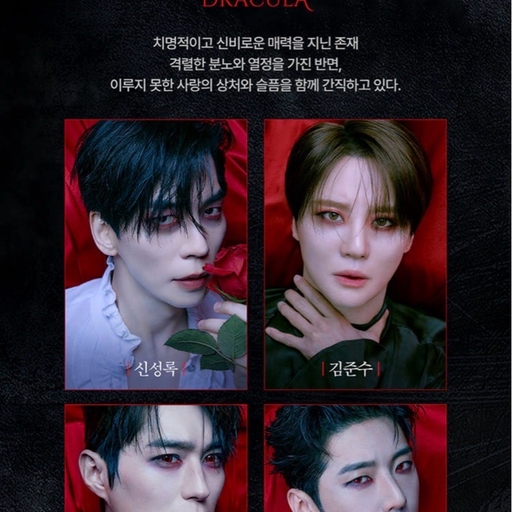 피드 이미지