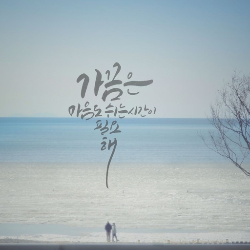 피드 이미지