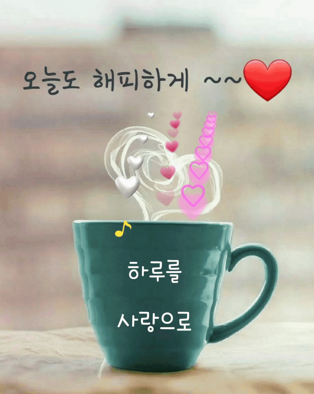 피드에 업로드 된 이미지