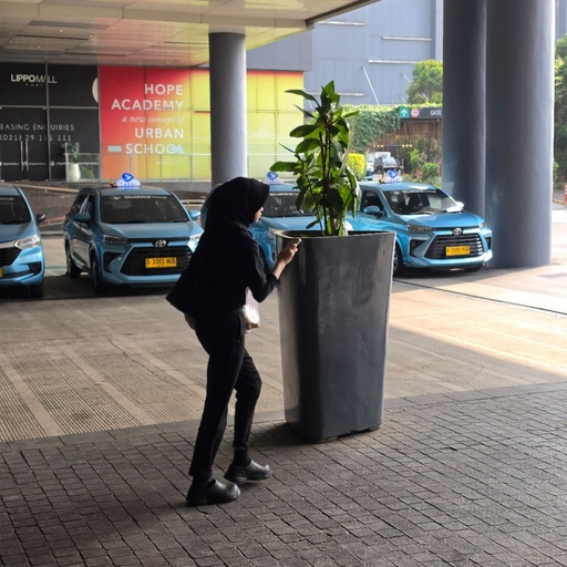 피드 이미지