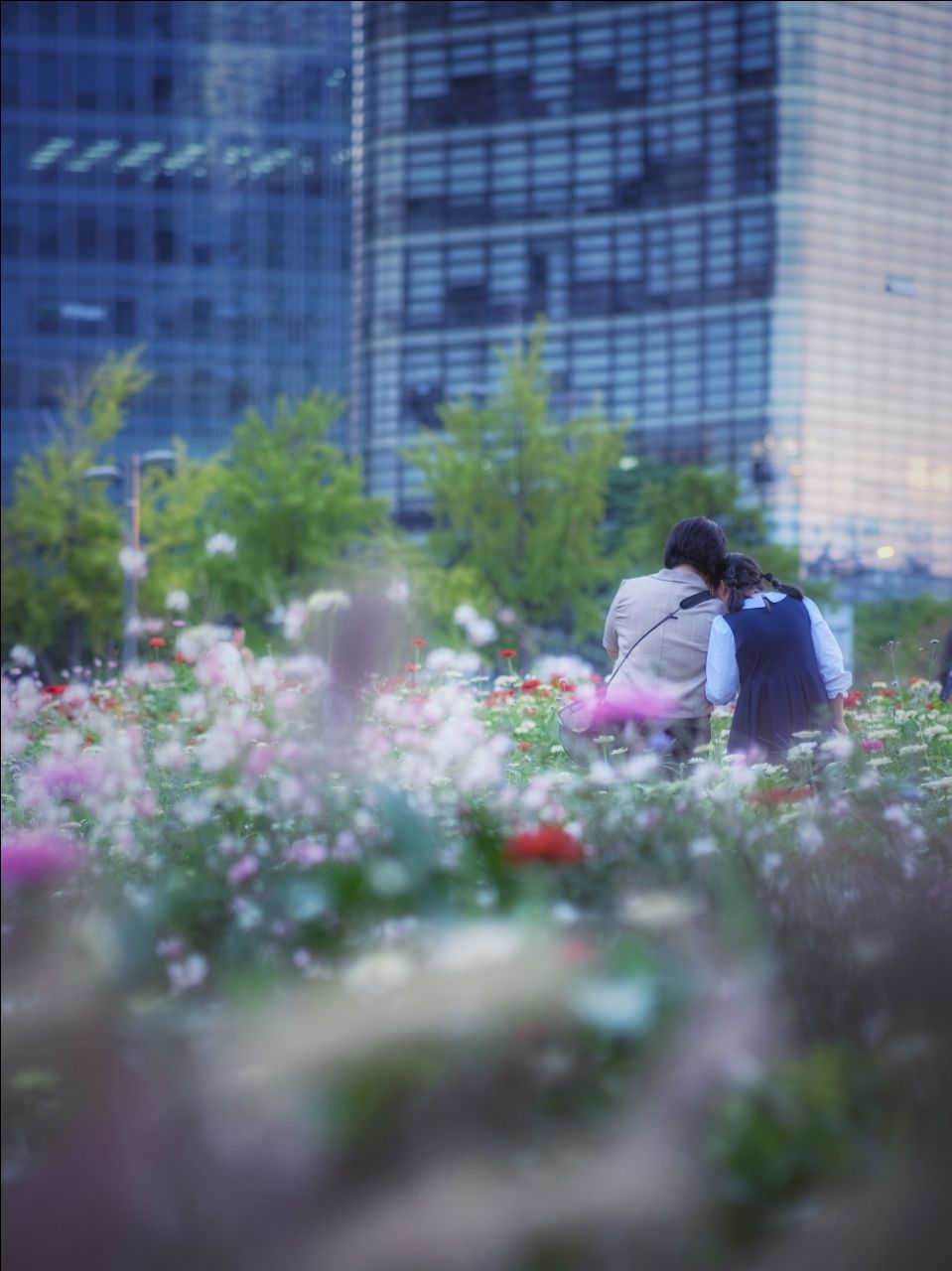 피드 이미지