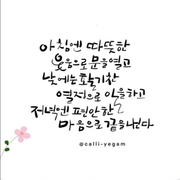 피드에 업로드 된 이미지