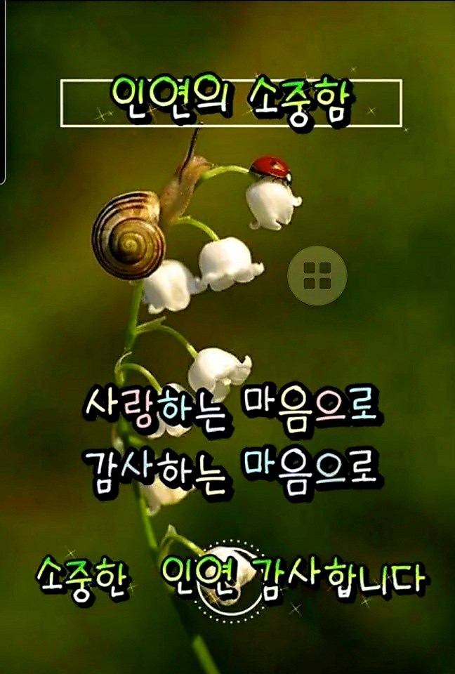 피드에 업로드 된 이미지