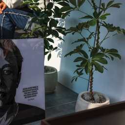 피드에 업로드 된 이미지