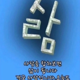 피드에 업로드 된 이미지