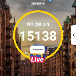 피드에 업로드 된 이미지