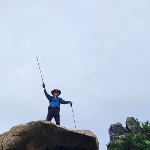 피드 이미지