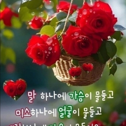 피드에 업로드 된 이미지