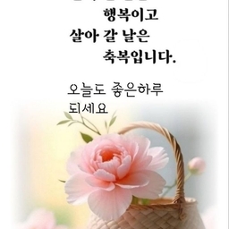 피드에 업로드 된 이미지